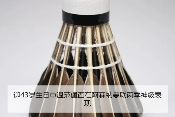 迎43岁生日重温范佩西在阿森纳曼联两季神级表现